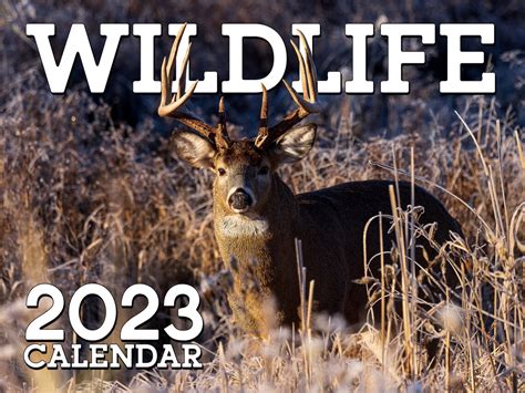 Wildlife calendar 2023 .